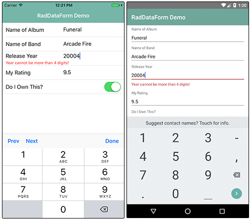 raddataform validation raddataform validation