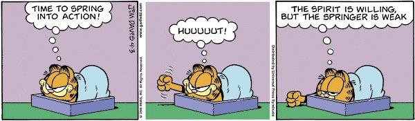 Garfield-challenge Challenge