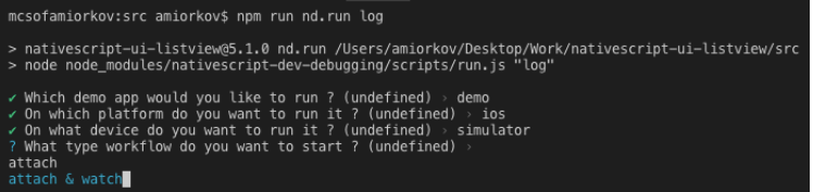 execute nd.run command execute nd.run command