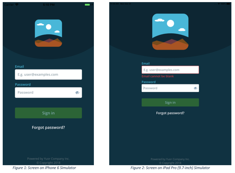 login screen on emulators