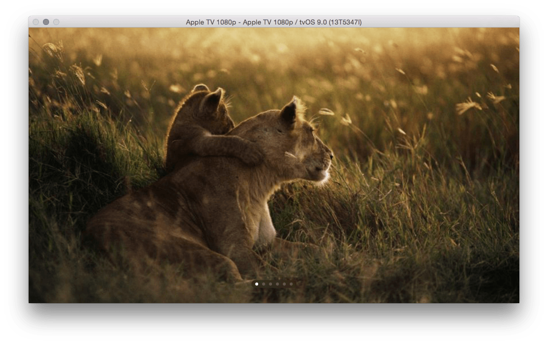 UIPageViewControllerAppleTv UIPageViewController with NativeScript running on Apple TV