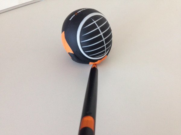 camera-poser2 Camera photo taken with NativeScript