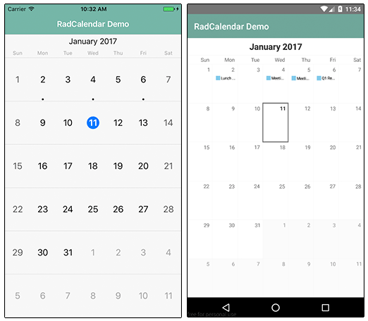 radcalendar with events radcalendar with events